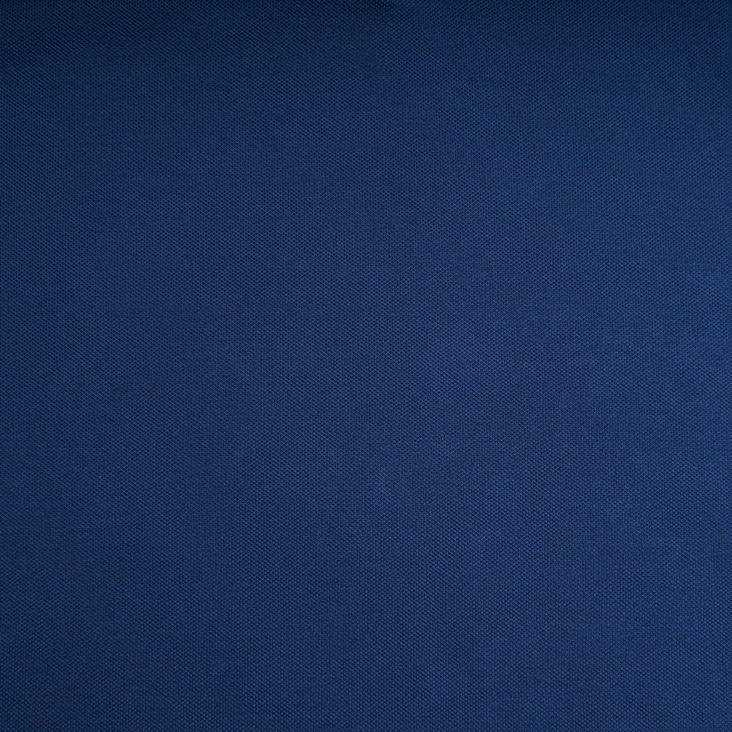 BLUETTE SHORT SLEEVE POLO - Image 3