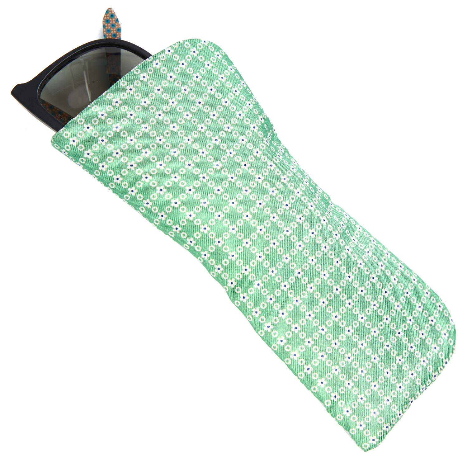 GREEN GLASSES CASE