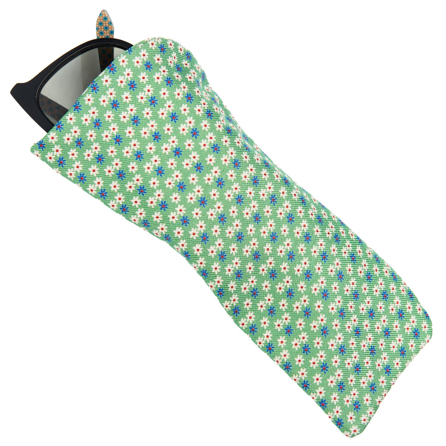 GREEN GLASSES CASE